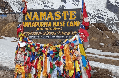 Untitled design (10) (1)